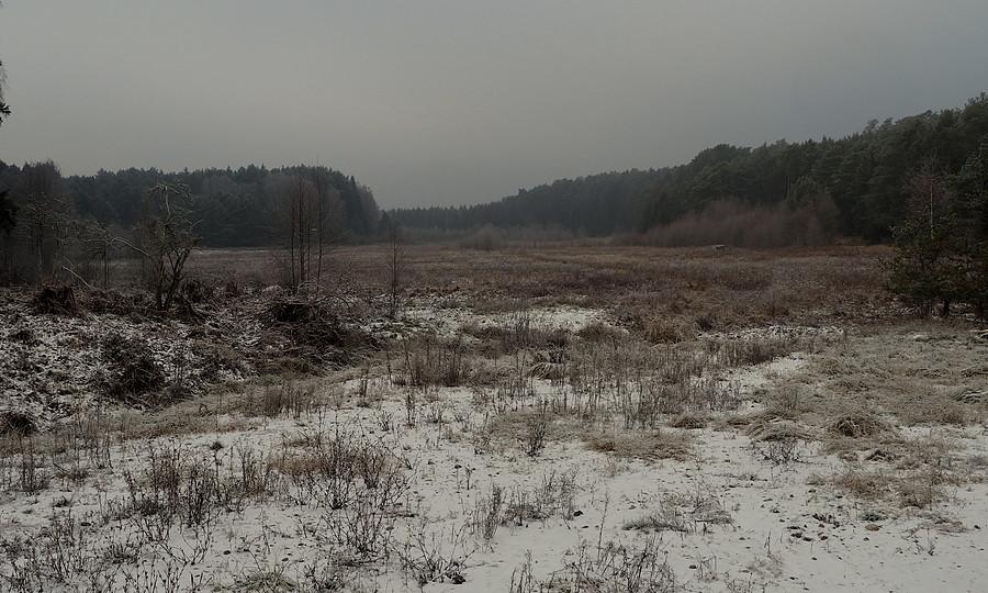 Śródleśna łąka
