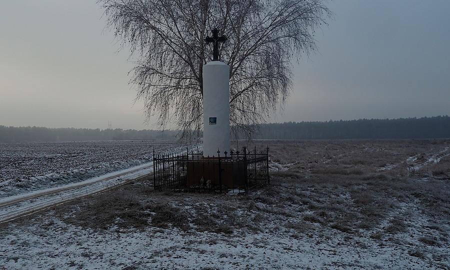 Bledzew, przy drodze do Krzywokleszcza