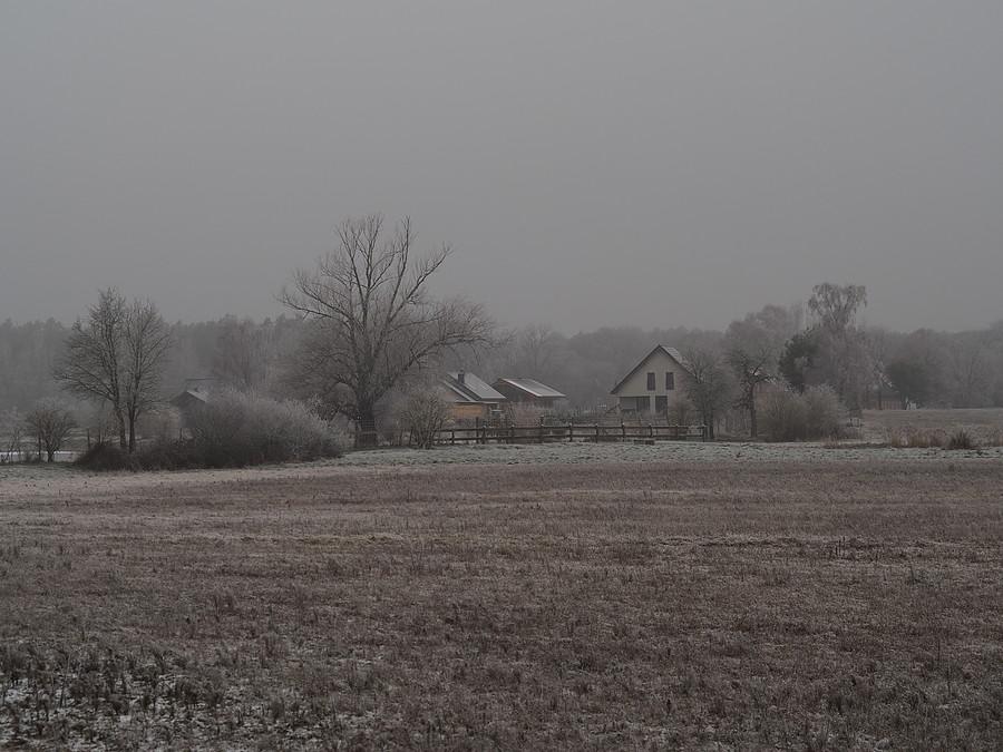 Szadziowy Rzepinek