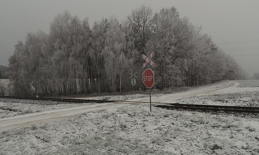 Niestrzeżony