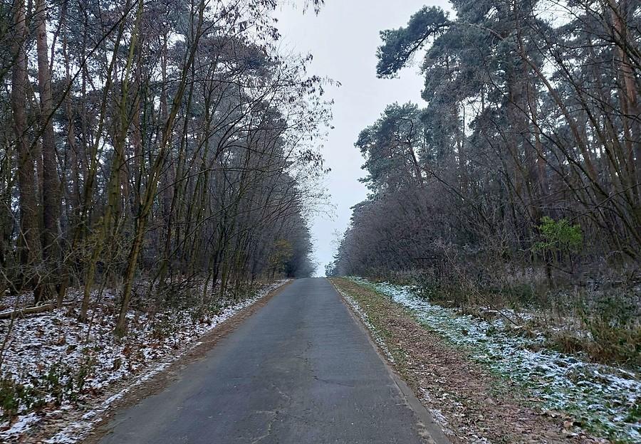 Podczas podjazdu 11% na Osową Górę w Mosinie