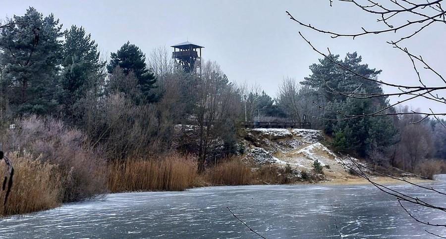 Zamrożony staw na Osowej Górze