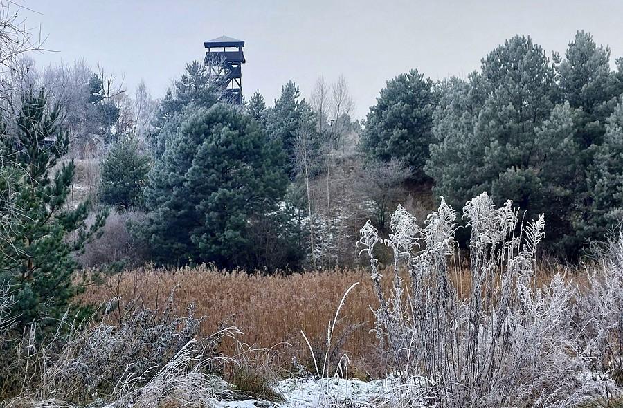 Szadziowy widok na Osową Górę