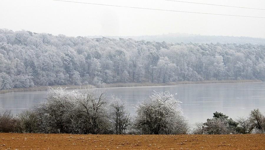 Zamrożone Jezioro Dymaczewskie