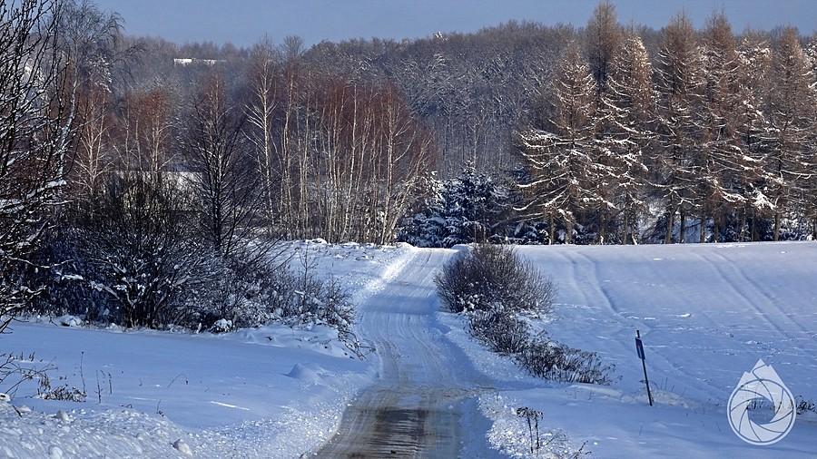 śniegowy wjazd w stromy las