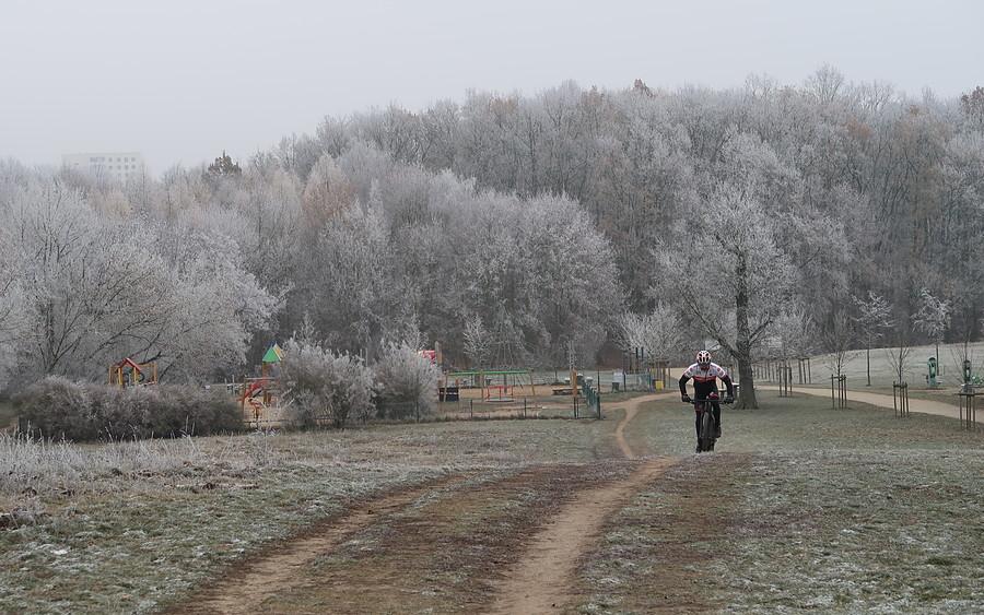 Mroźne klimaty na górce w Lasku Marcelińskim