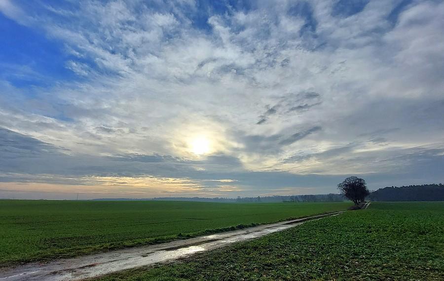 Słońce nad Lisówkami