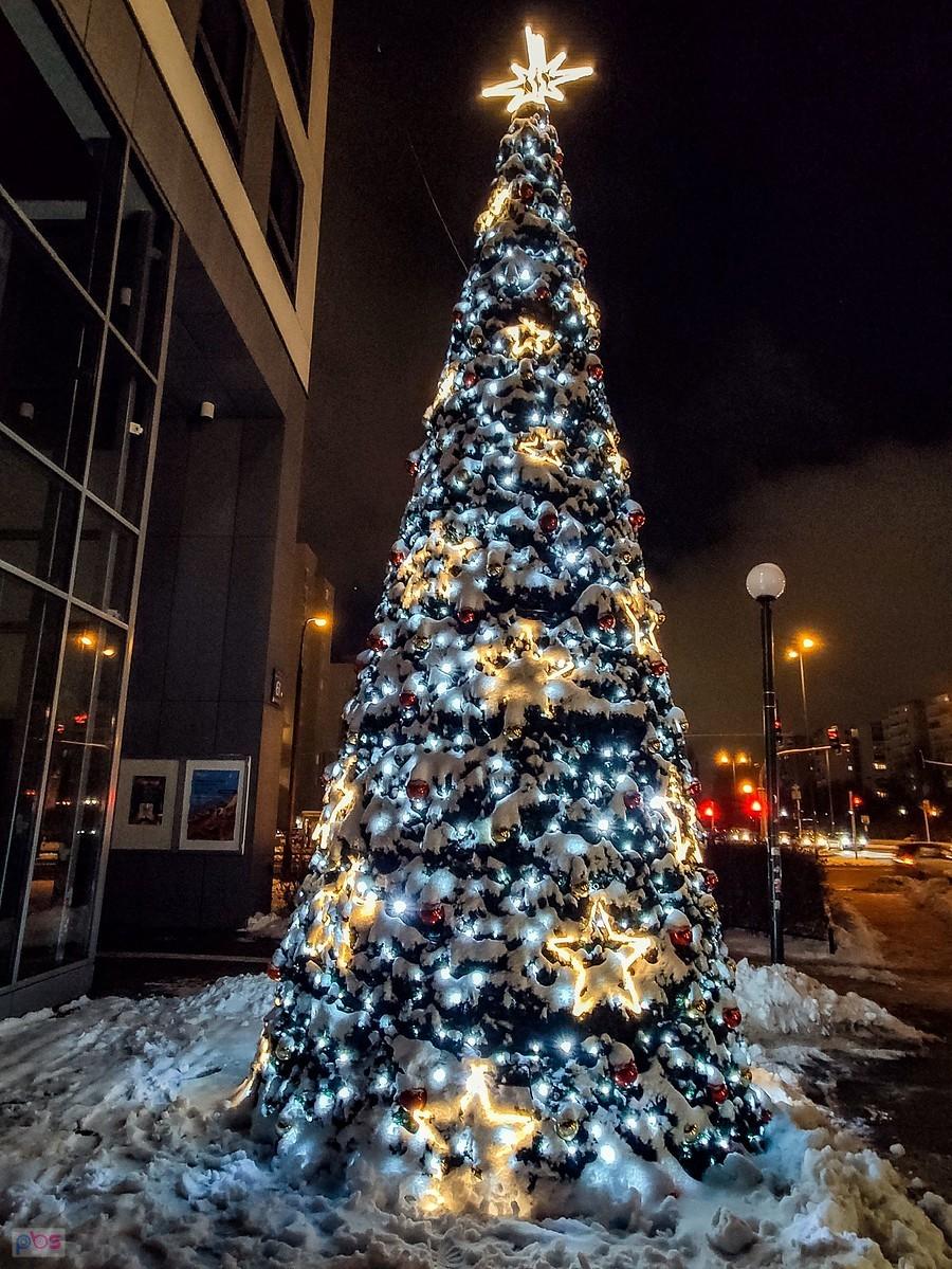 Urzędowa choinka