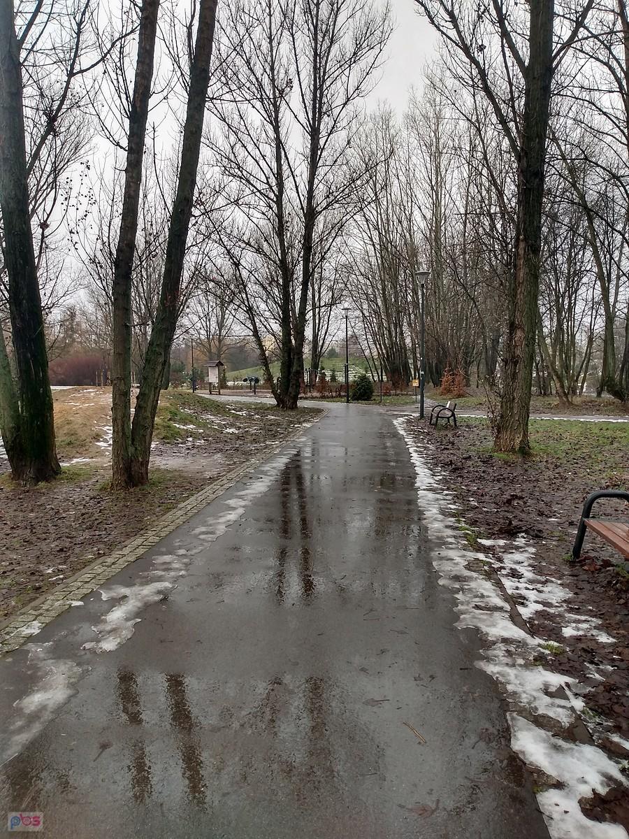 W parku Górczewska