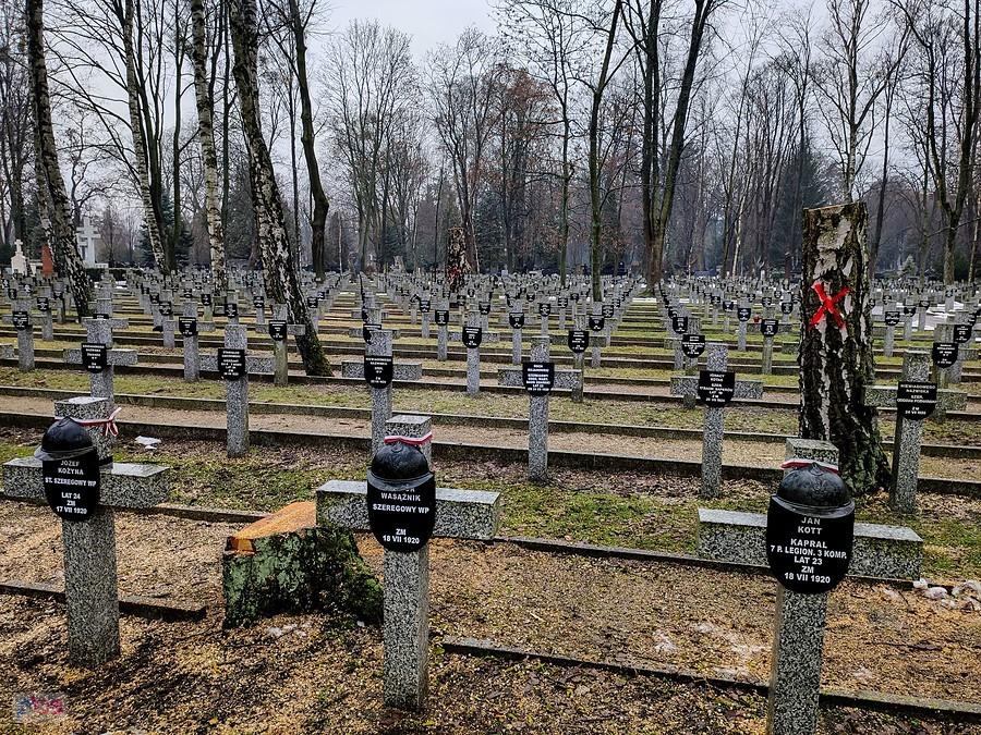 Polegli w wojnie z bolszewikami