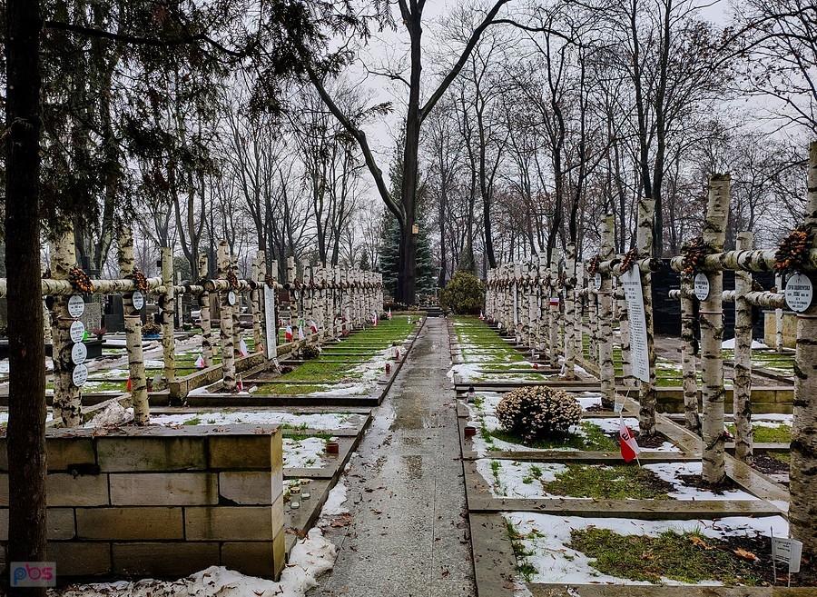 Brzozowe krzyże Powstańców