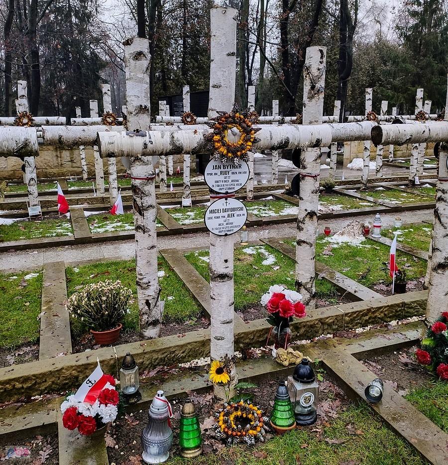 Mogiła Alka i Rudego