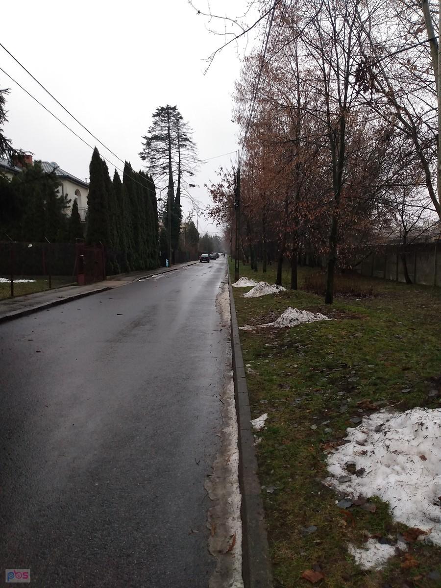 Resztki śniegu