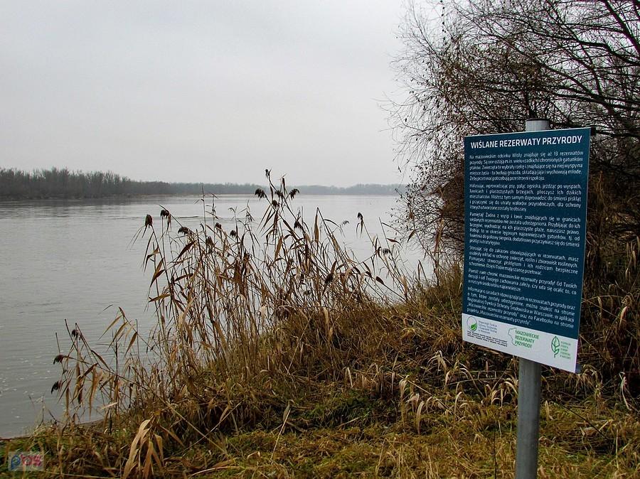 Na mazowieckim odcinku Wisły znajduje się 13 rezerwatów przyrody