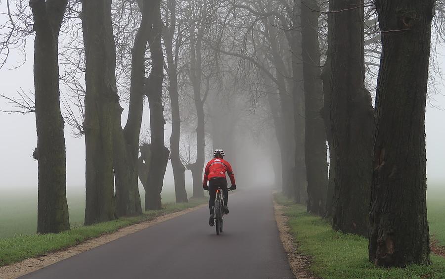 Klimatyczna i mglista szoska (do Zborowa)