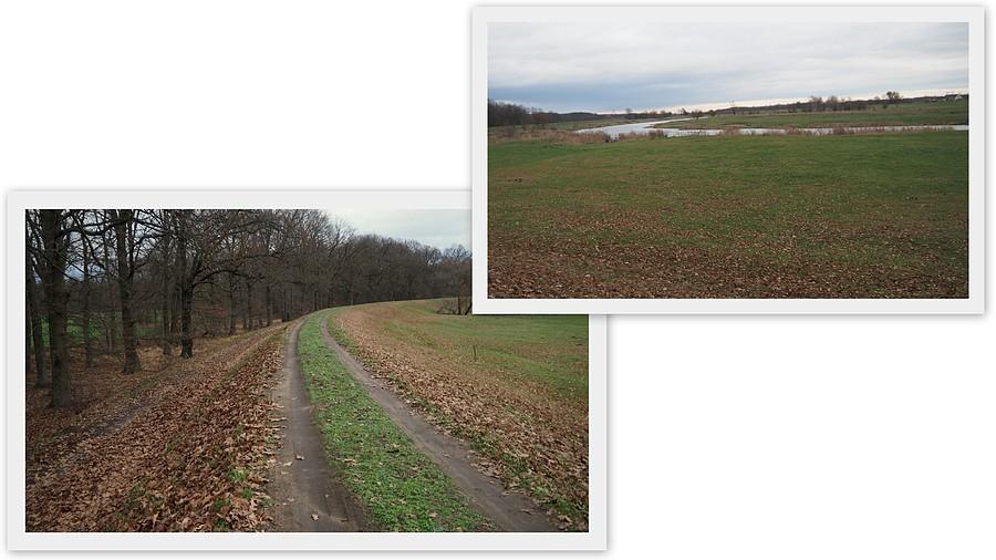 W Nowym Dworze nad Wartą
