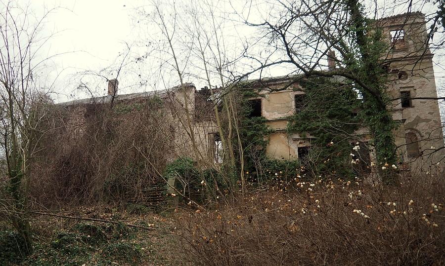 Jeszcze widok od strony stawu