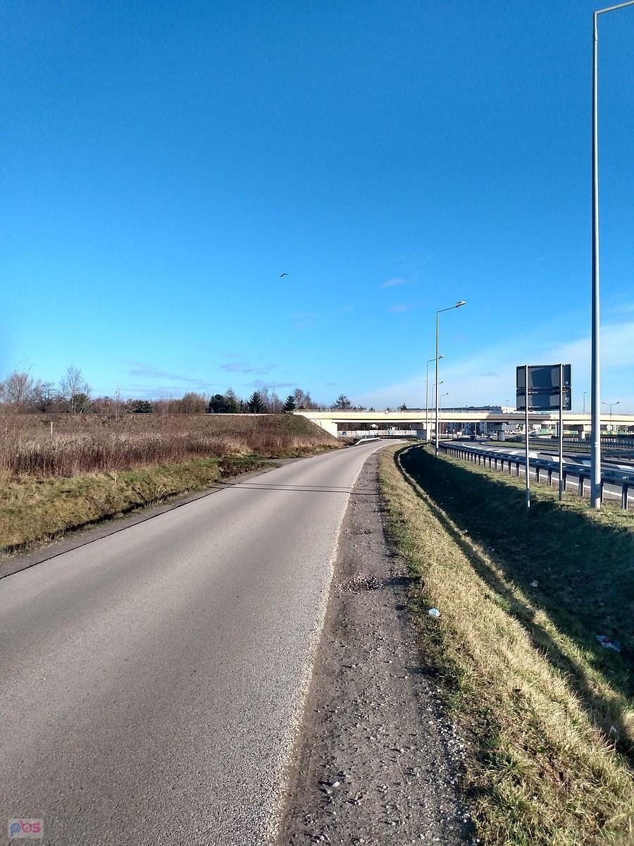 Temperatura 8 stopni, jak wczesną wiosną