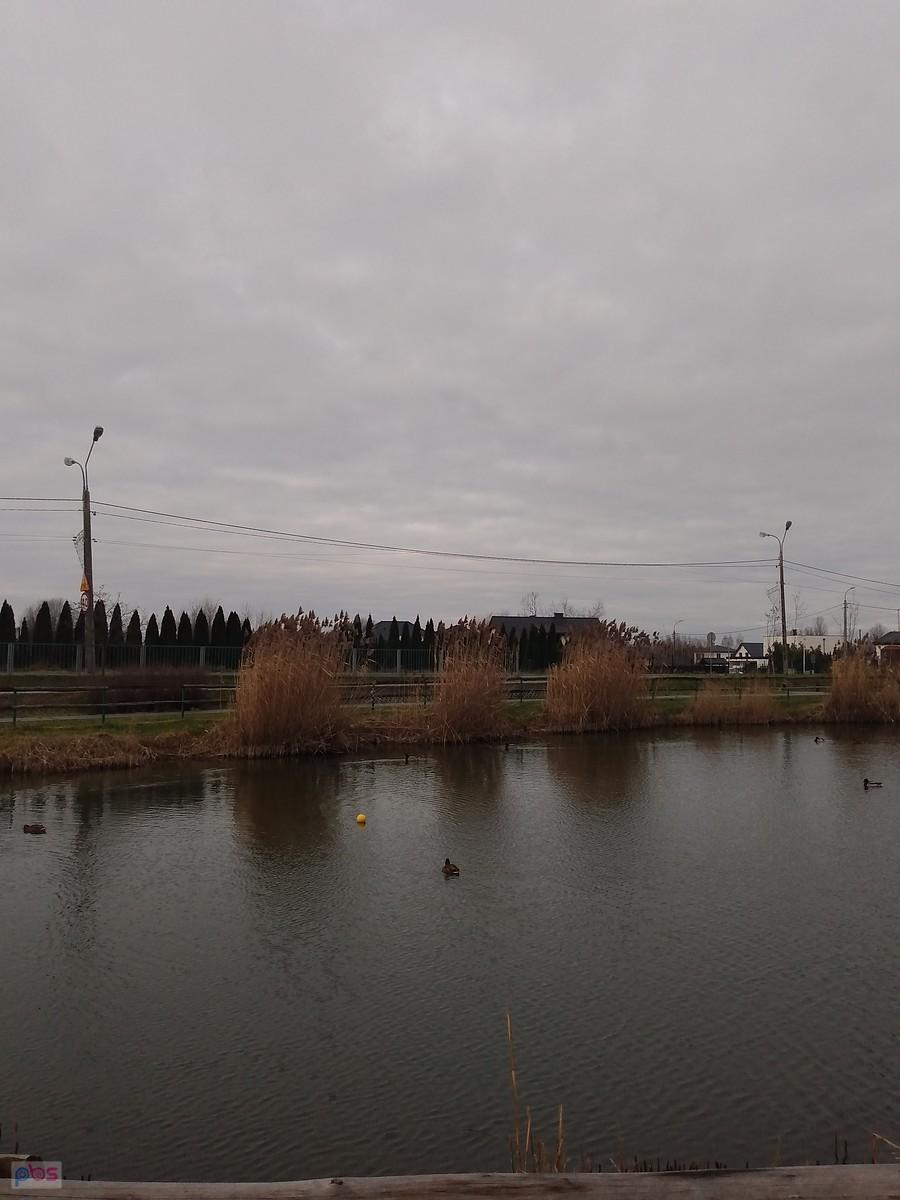 Staw w Borzęcinie tym razem z drugiej strony