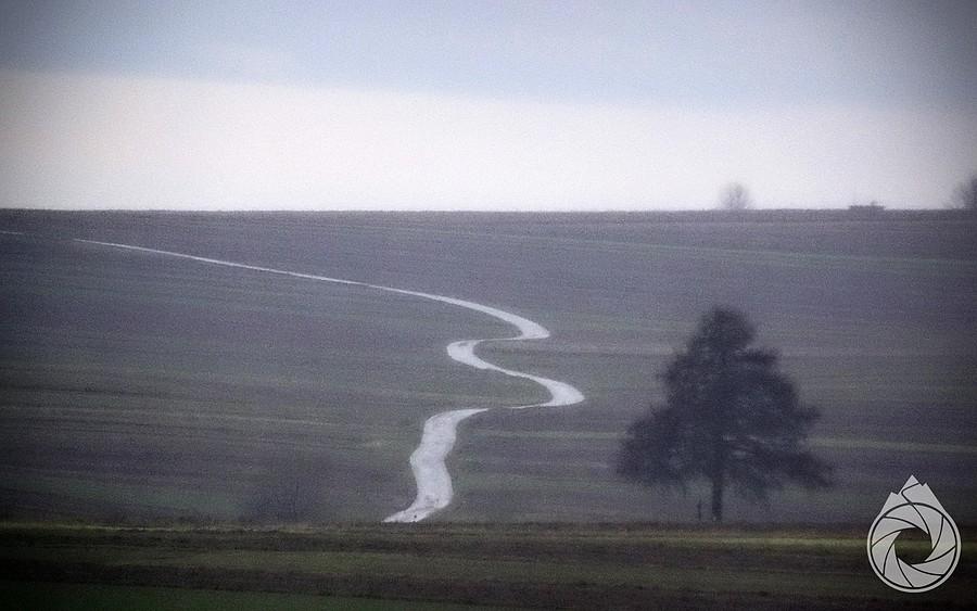 Biała Droga już bez drzewka