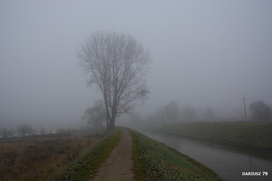 Będzin