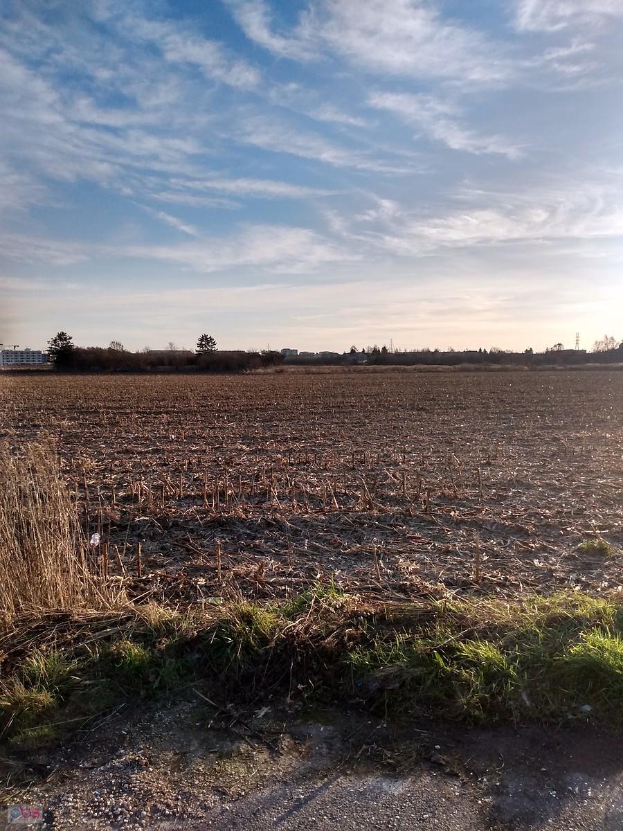 Pogodny bardzo ciepły poranek