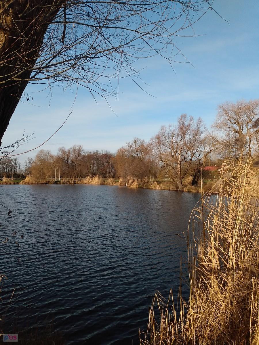 Staw w Zielonkach