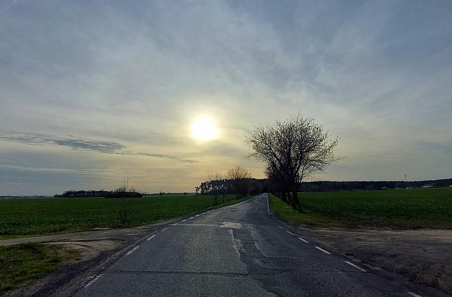 Na drodze z Trzcielina do Dopiewa