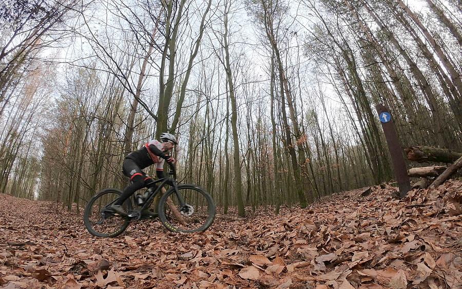 Wchodzę w kolejny zakręt - widok z perspektywy gleby