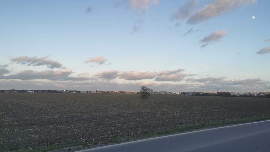 Krajobraz wiejski z drogą
