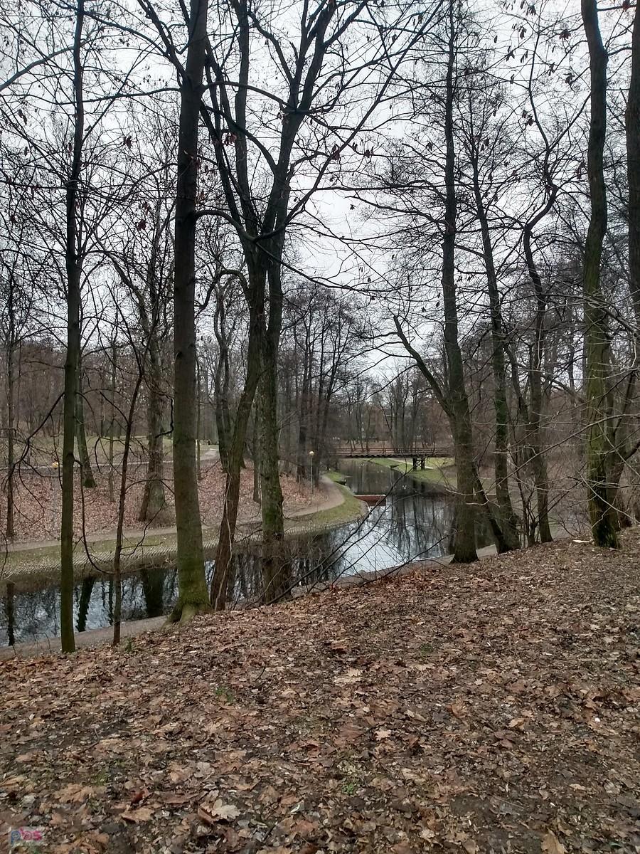 Fosa w parku na Forcie Bema