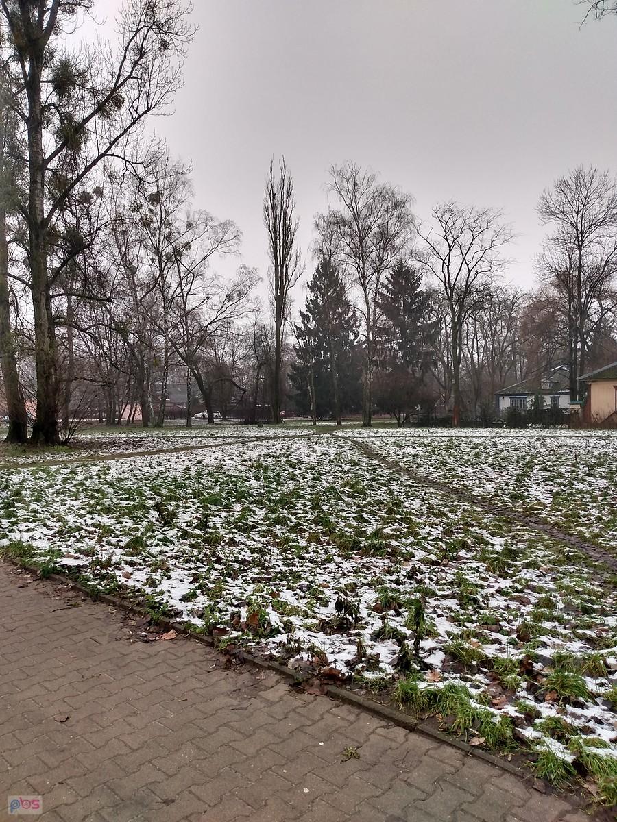 Resztki śniegu na trawie
