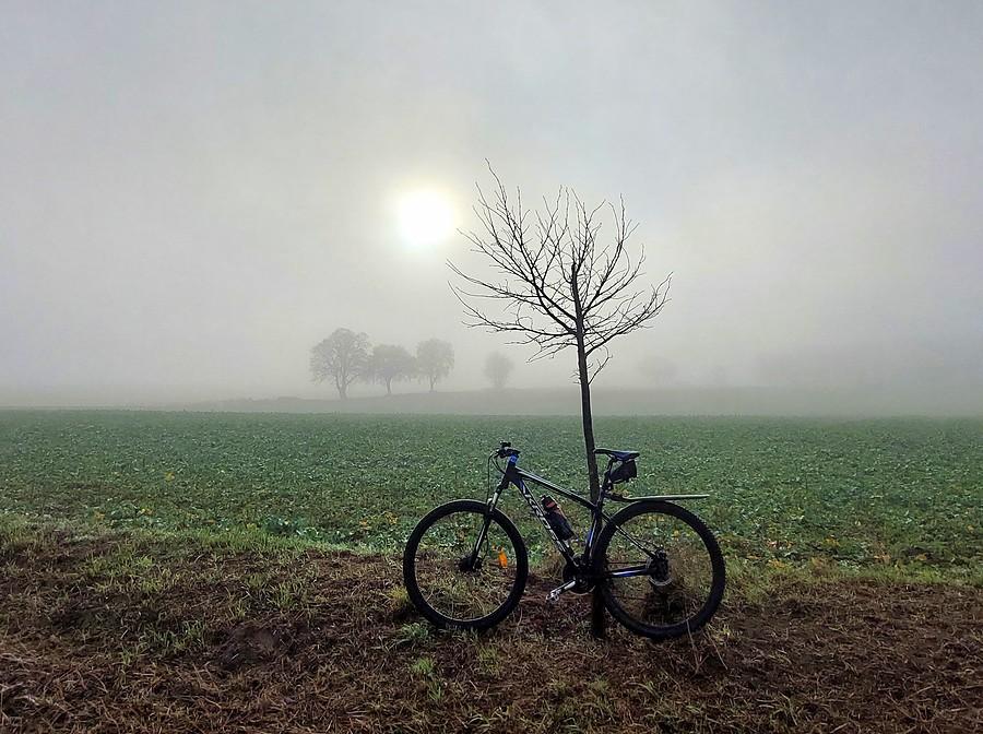 Rowerówka z zamglonych Lisówek