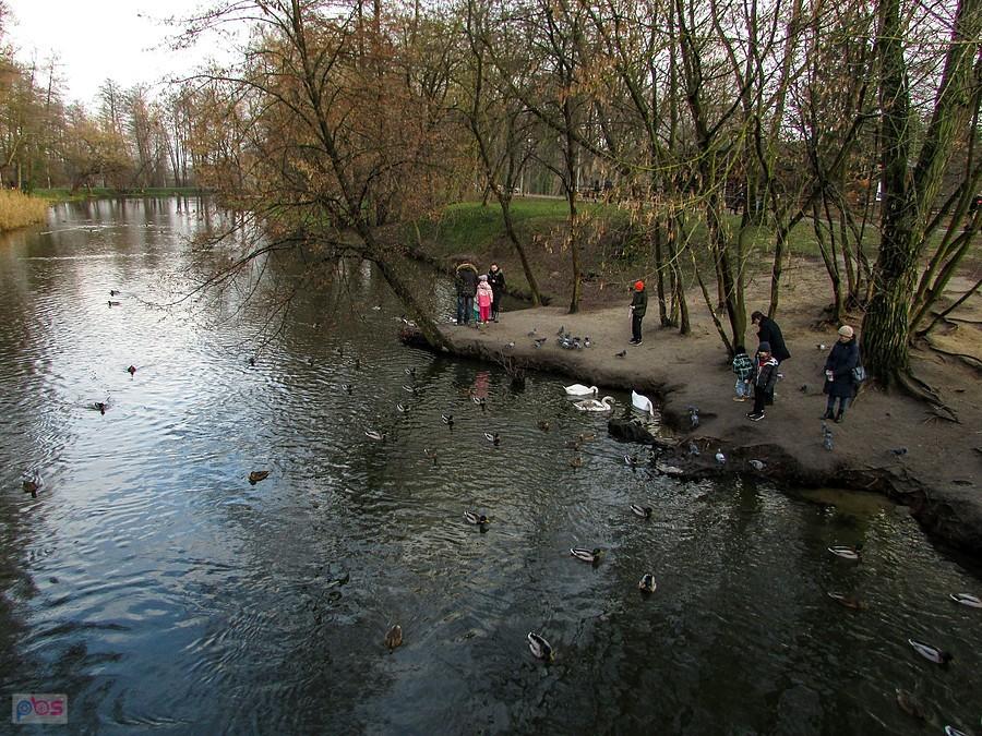 Nad Jeziorką przy tężni