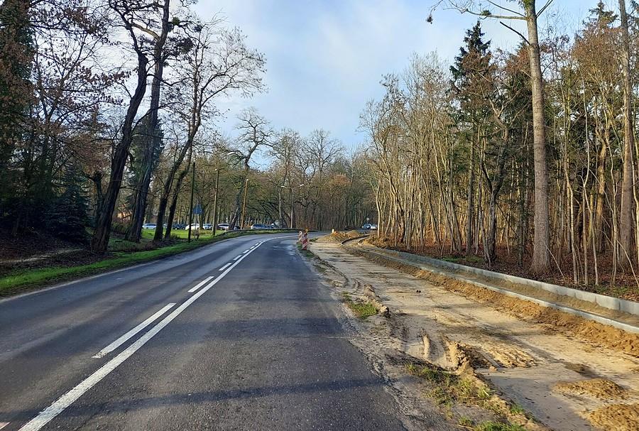 Rośnie kolejna bezsensowa śmieszka, tym razem w Rogalinie