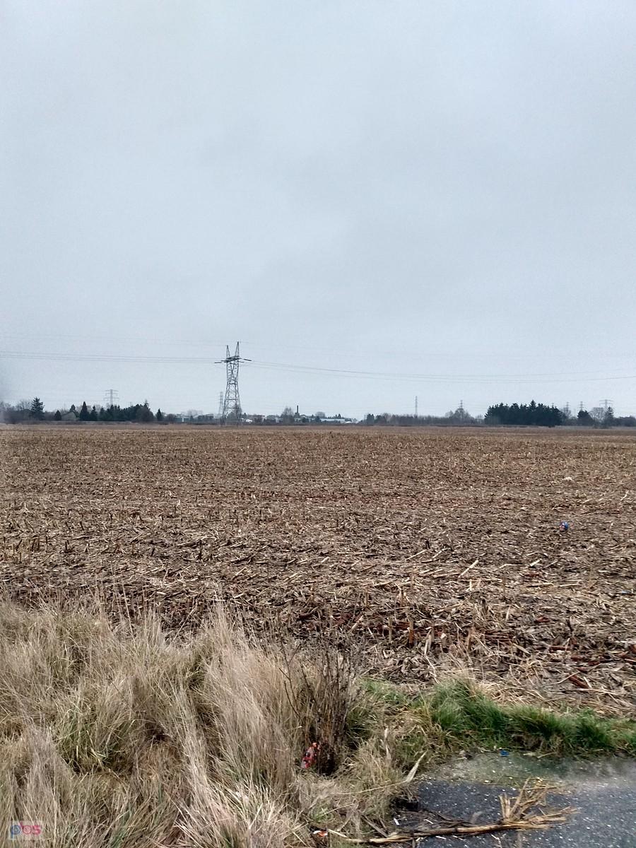 Warszawskie pole