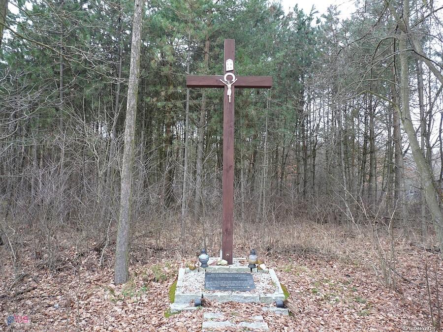 Mogiła żołnierzy napoleońskich w Hanusku