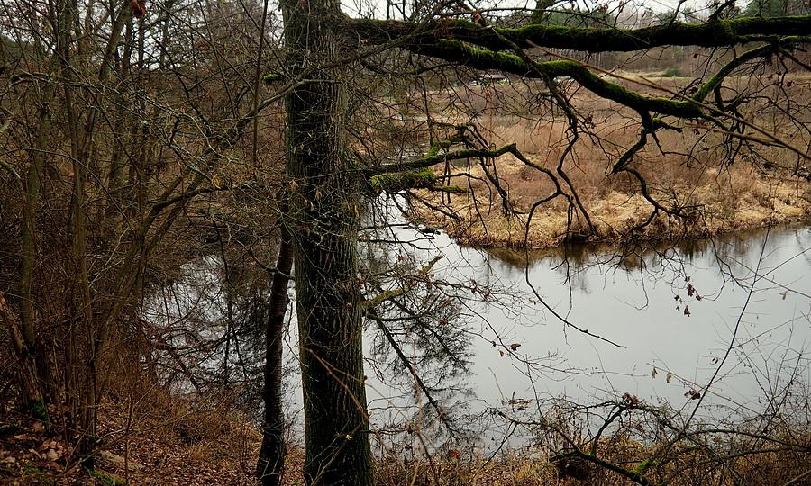 Meandrująca Obra