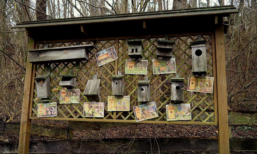 Oferta lokalowa nadleśnictwa