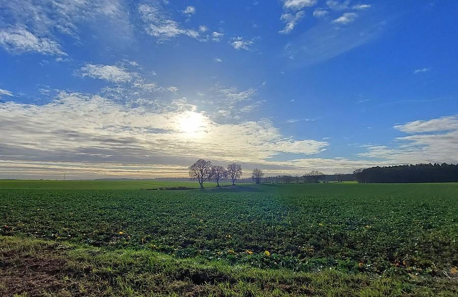 Słońce pojawiło się nad Lisówkami