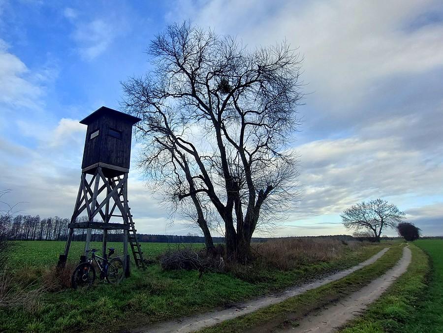 Pod amboną w Lisówkach