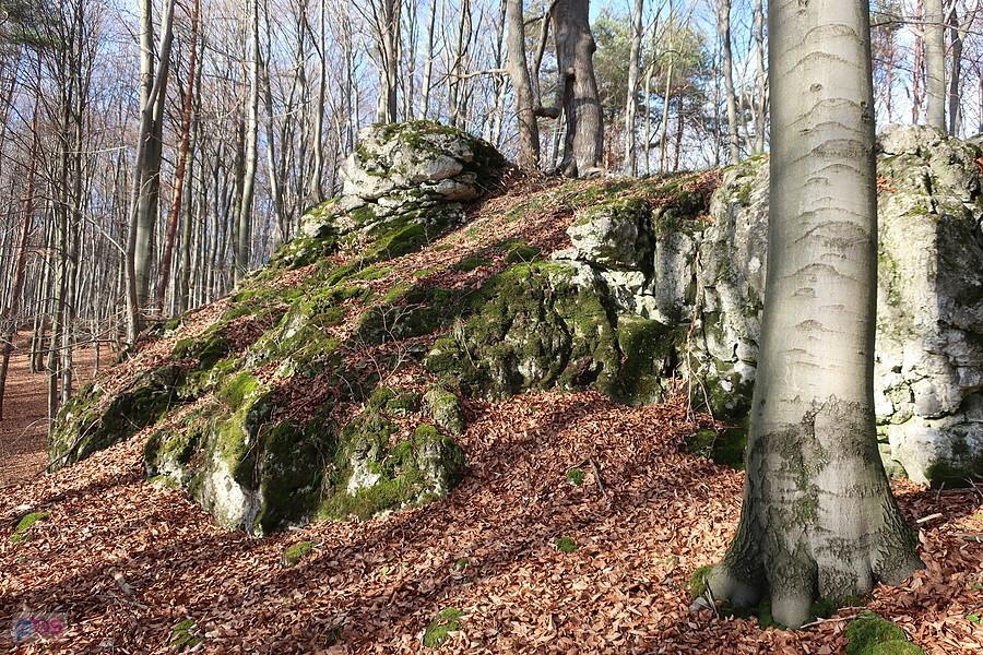 Skałki na górze Knieja