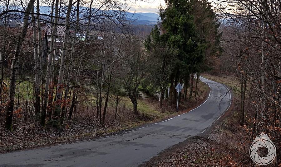 powoli, na końcówce podjazdu pod Brzankę, zaczynają wychodzić widoczki na pogórze i Beskid Niski
