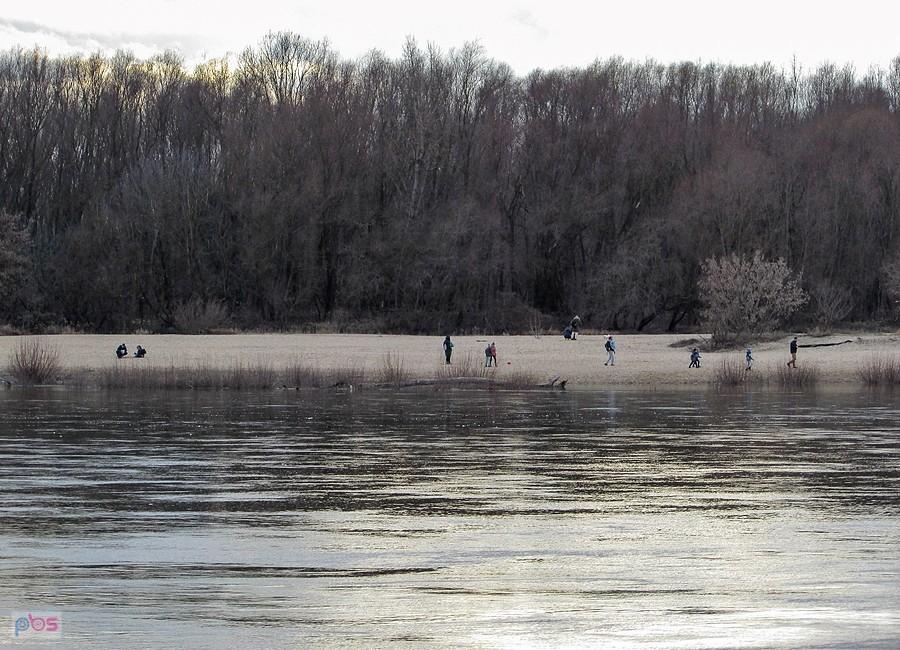 Plaża w Wilanowie
