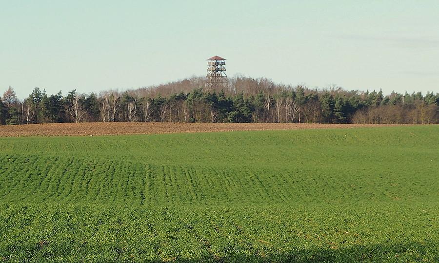Wieża widokowa na Górze Trębacza