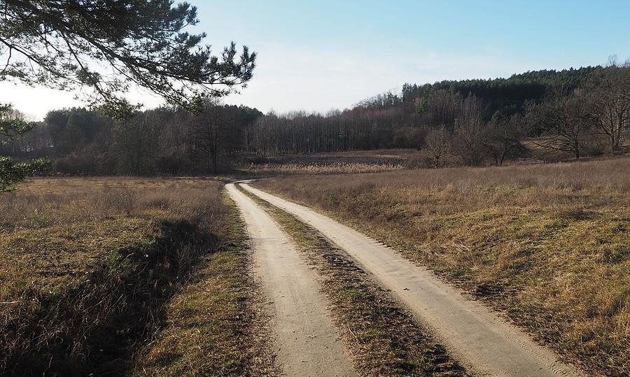 W polach, okolice Stołunia