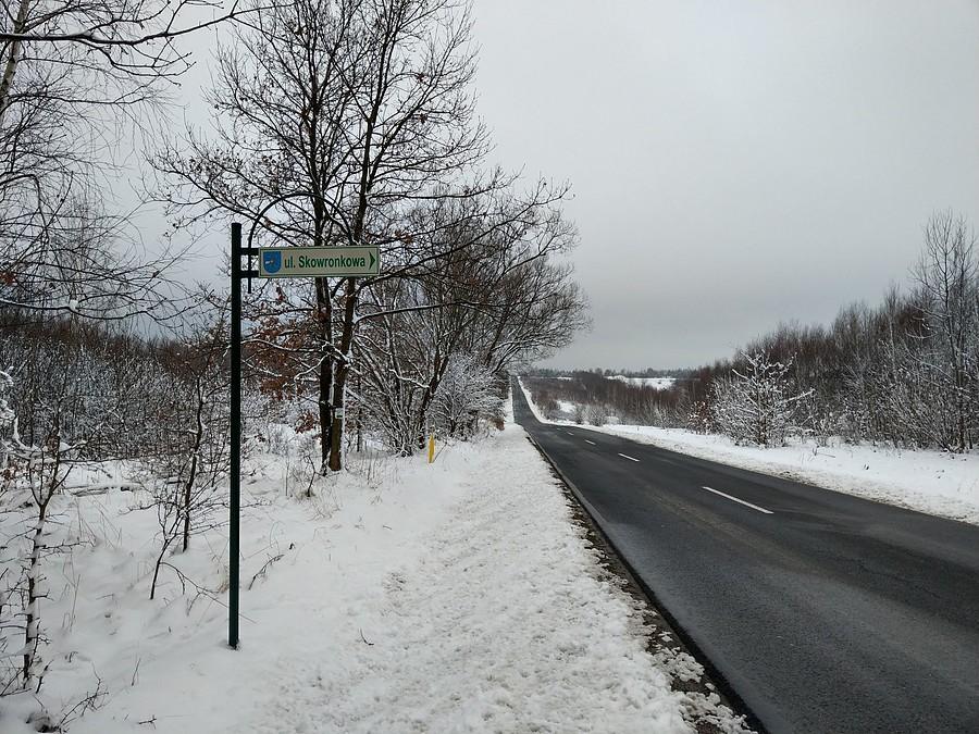 Ulica Skowronkowa ;)