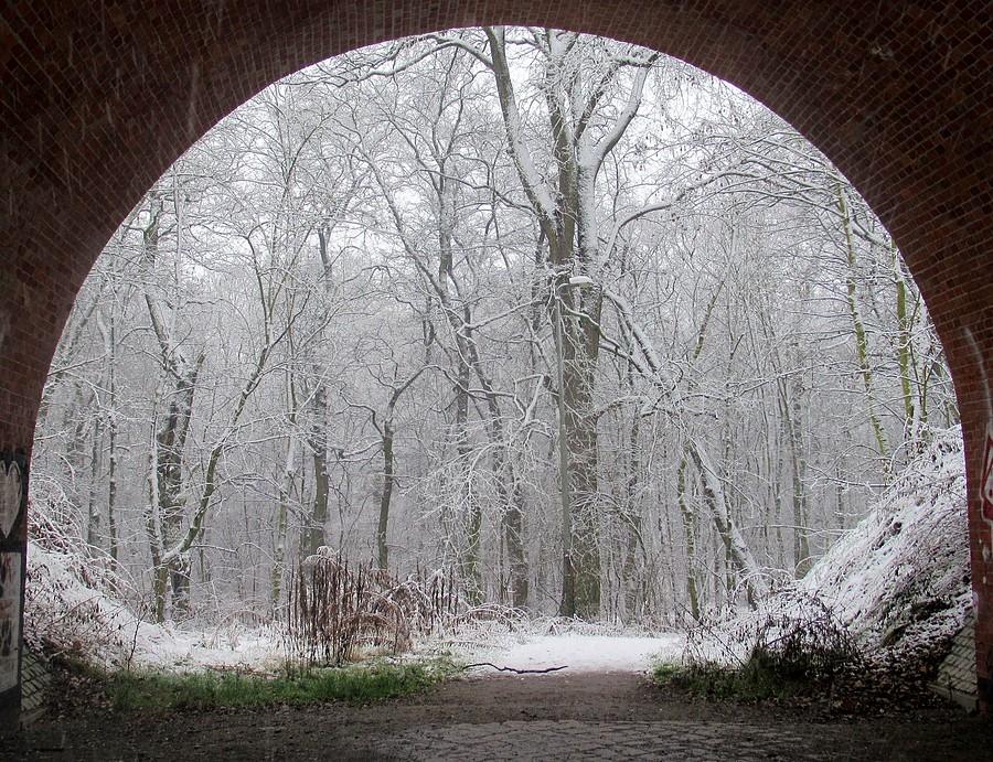 Wejście do mojej osobistej Narnii (Dębina, Poznań)