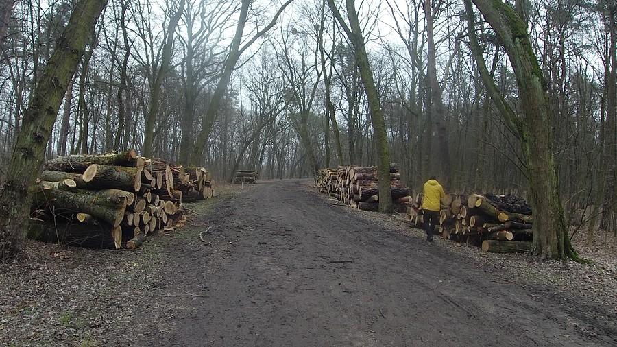 Odnawialne źródła energii