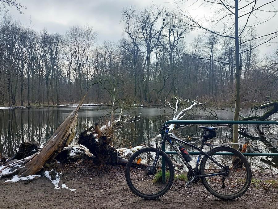 Szaro na poznańskiej Dębinie